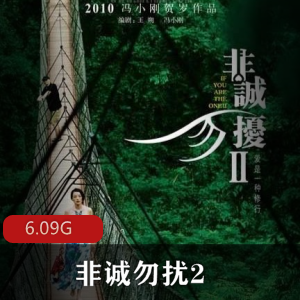 （非诚勿扰2）在线观看