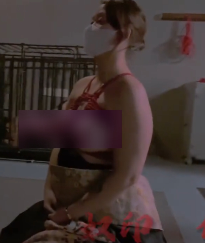 奴印文化反差教学合集51部1.24G挑战认知