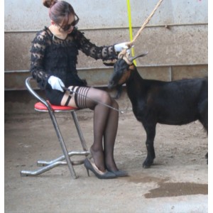 电报绝密展示实拍花絮1v600mb